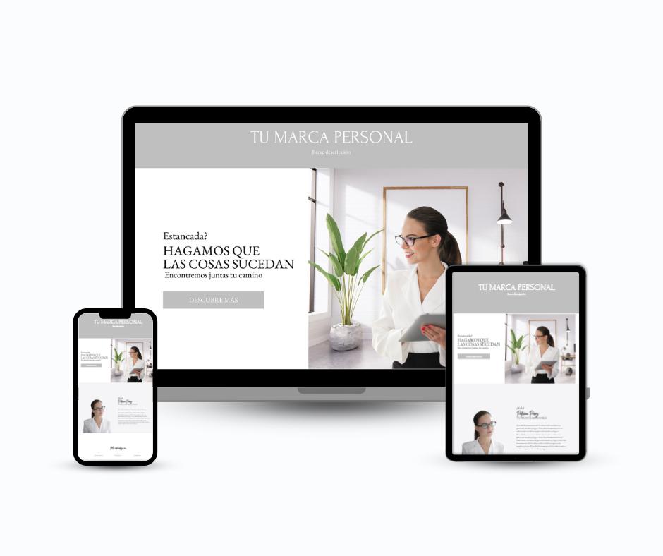 web profesional